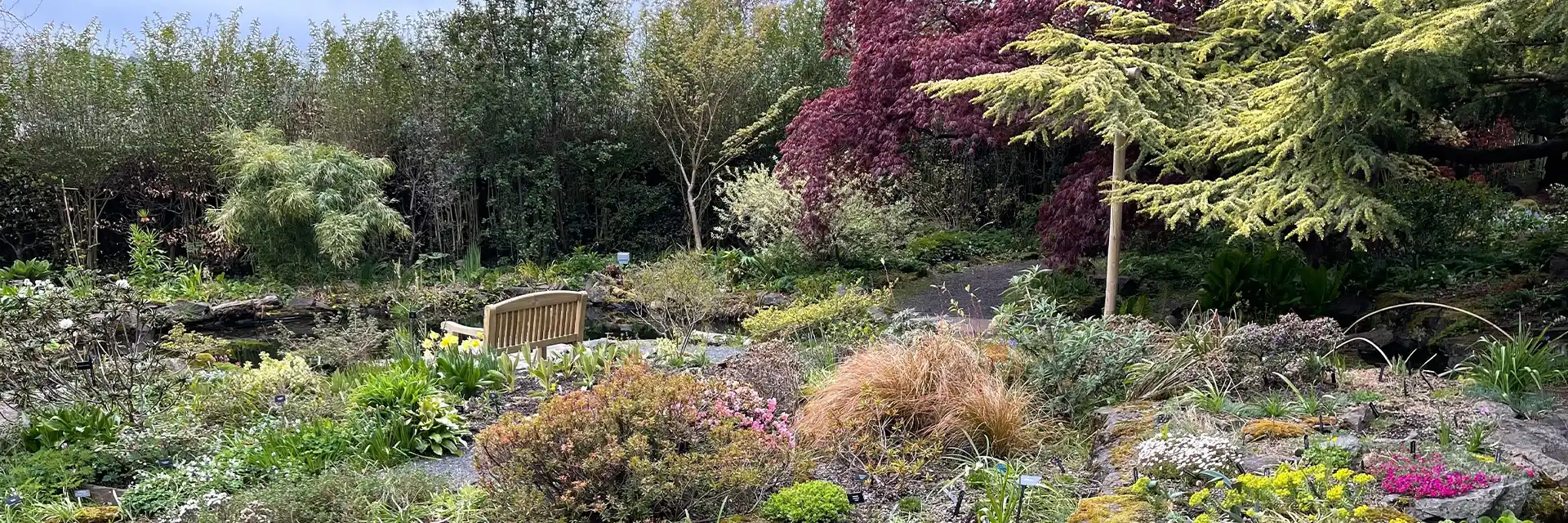 Day 1 Branklyn Gardens 