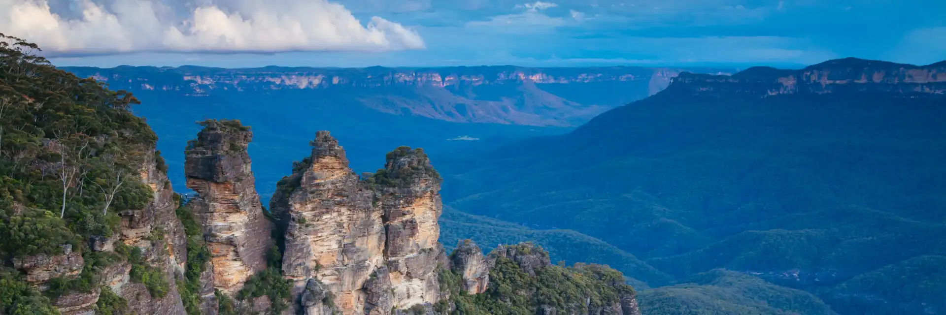 Day 9 Australia's Gardens in Bloom: Iconic Gardens & WAFA