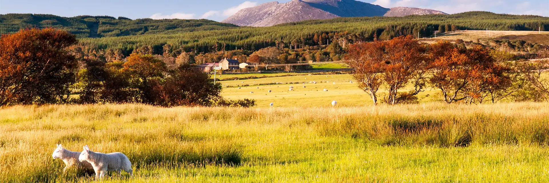 Autumn Tints of Arran