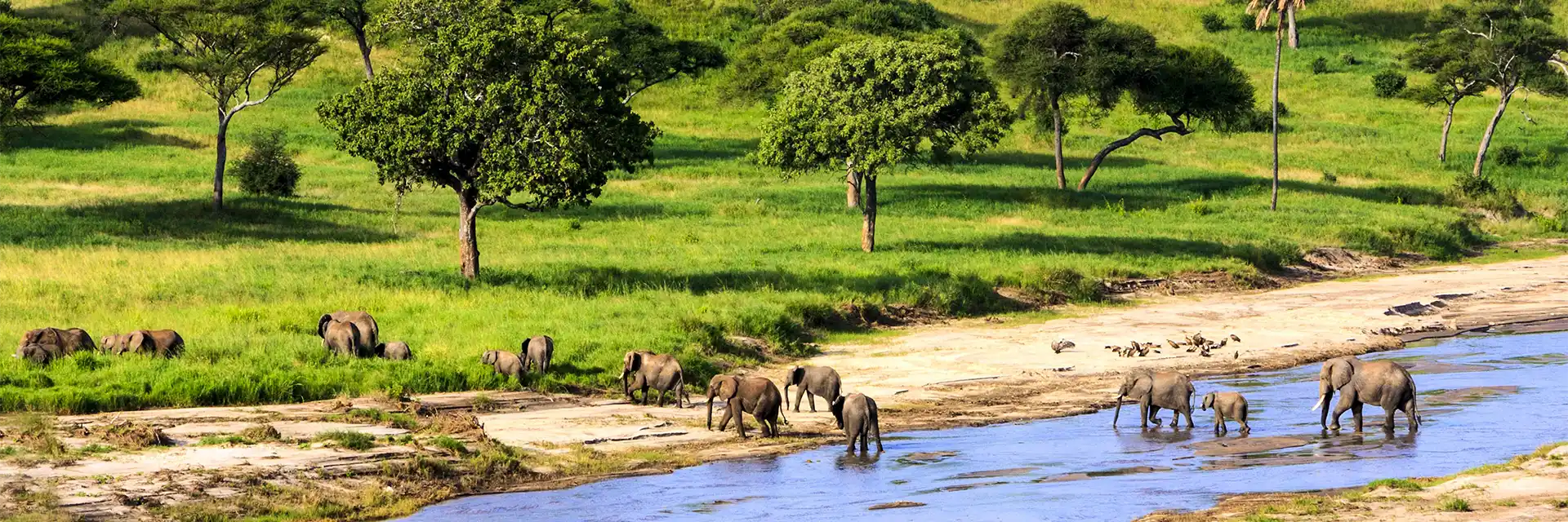 Day 4 Birdwatching & Wildlife Safaris in Tanzania