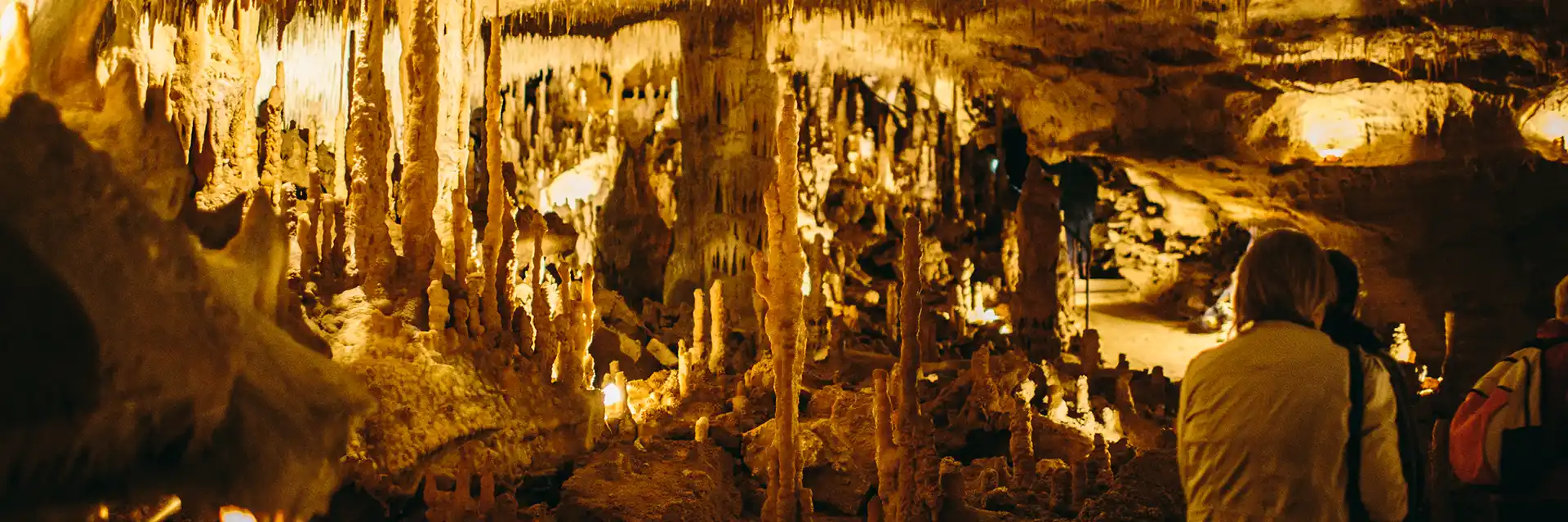 Day 6 Cave Art of The Dordogne