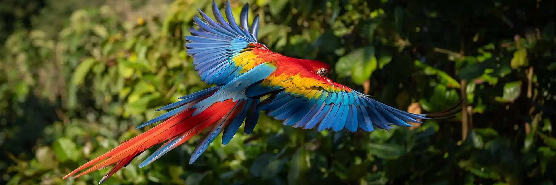Day 7 Gardens & Wildlife of Costa Rica