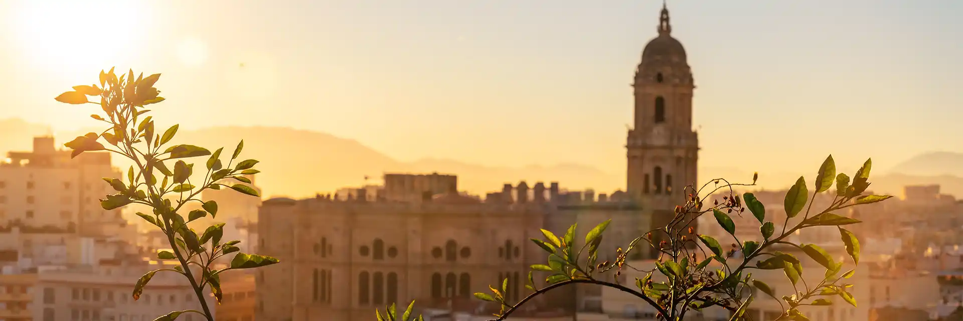 day 8 Gardens and Architecture of Andalucia