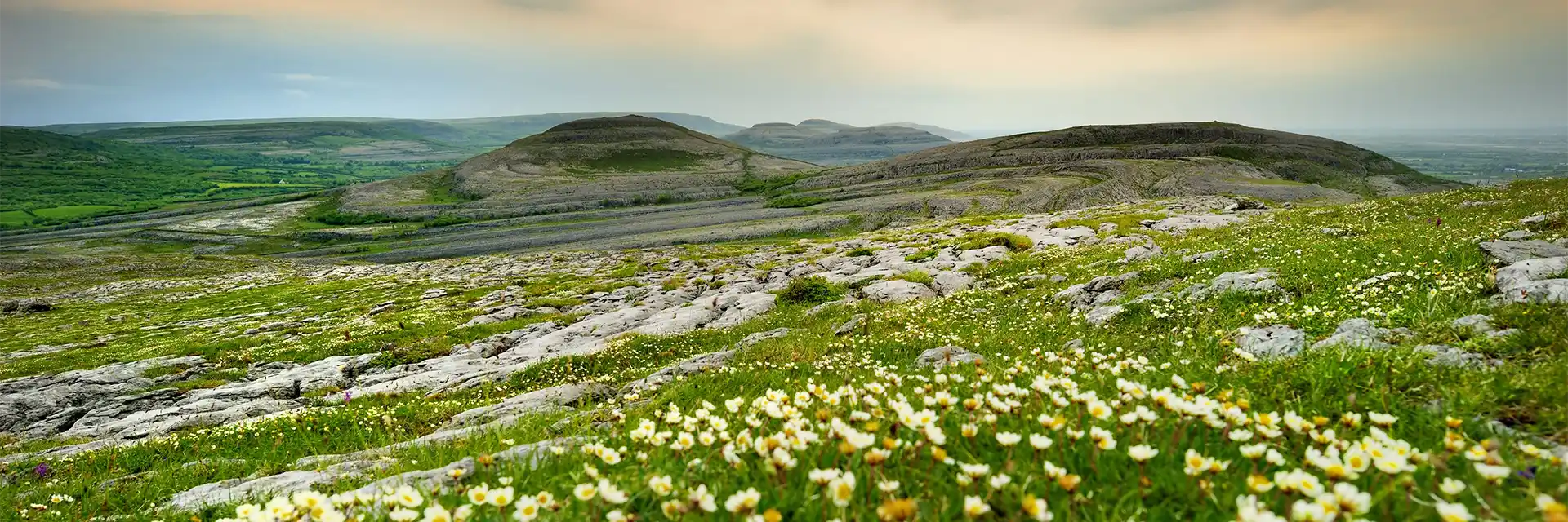 Day 4 Burren