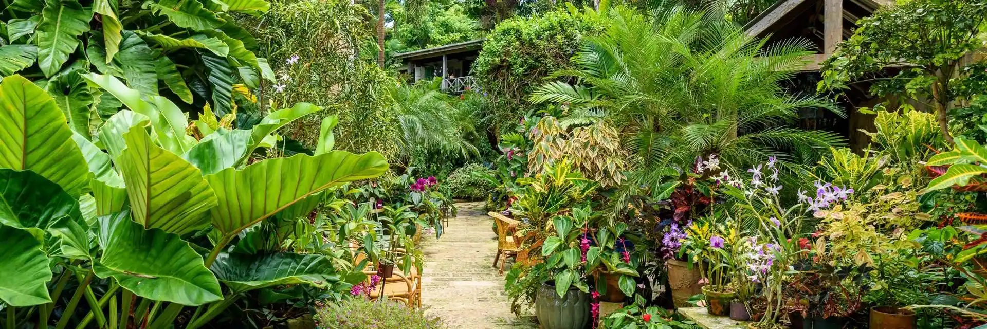 Gardens of Barbados
