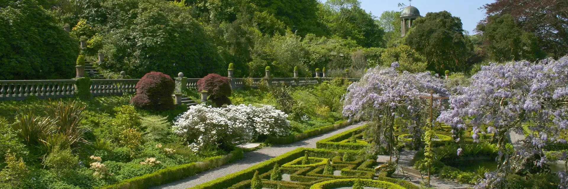 Day 7 Gardens of The Emerald Isle