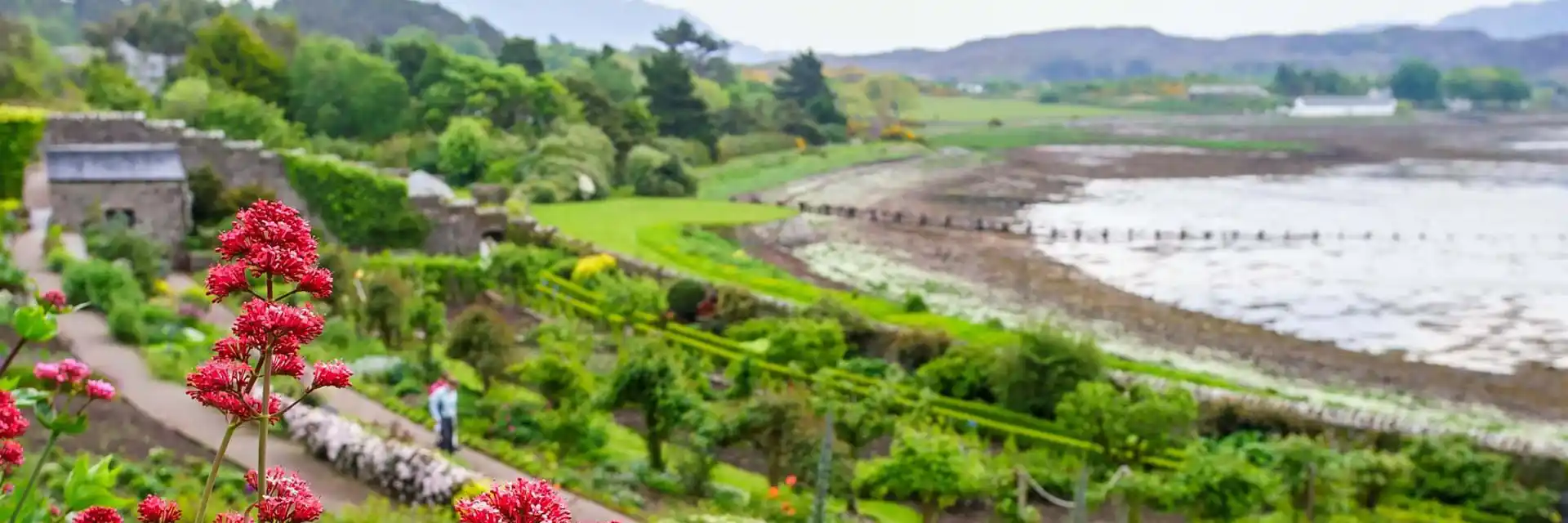 Day 4 Gardens of Wester Ross