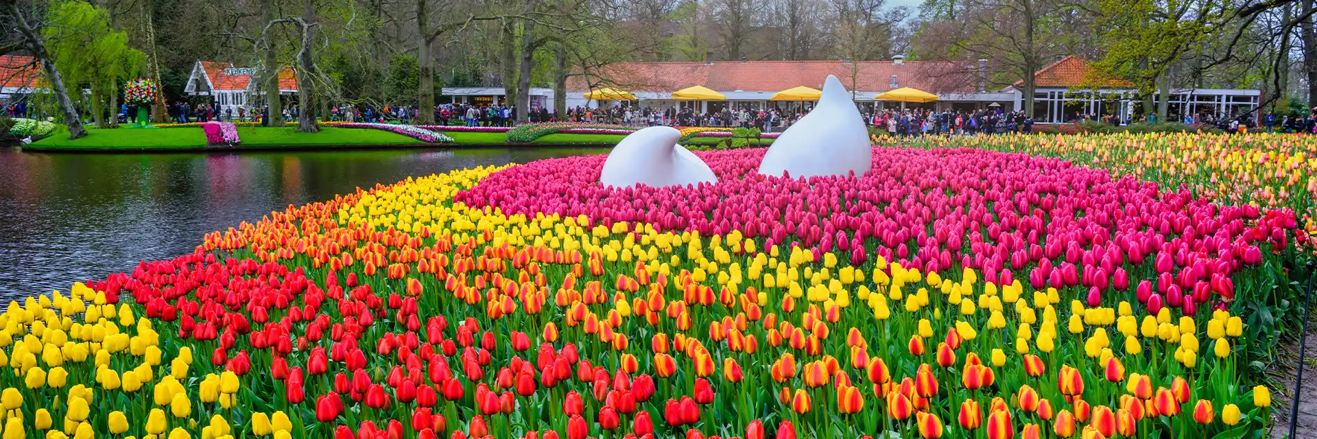 Holland & the Tulips of Keukenhof