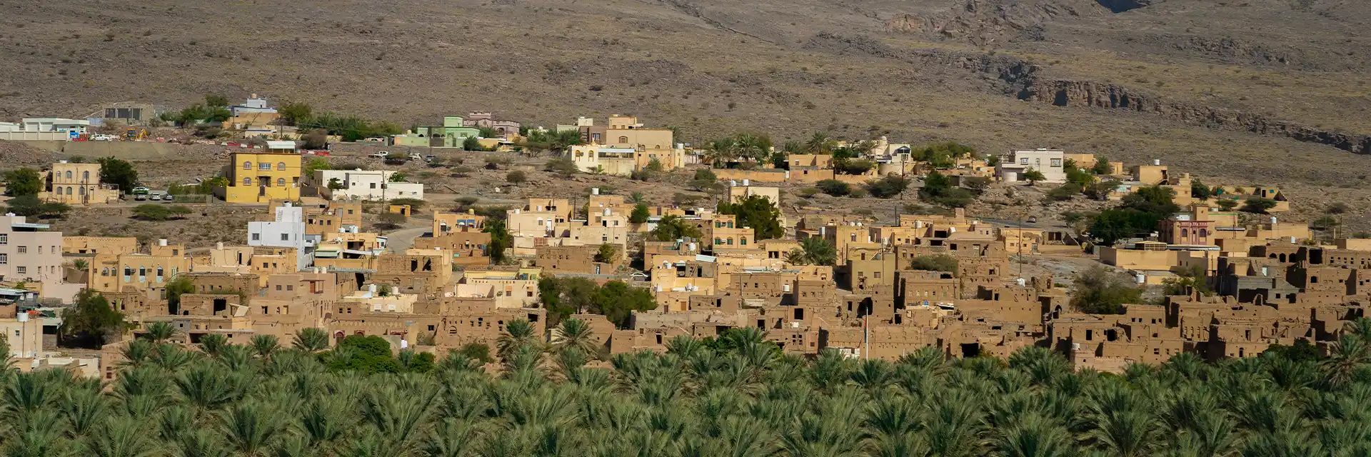 Day 4 Oman 