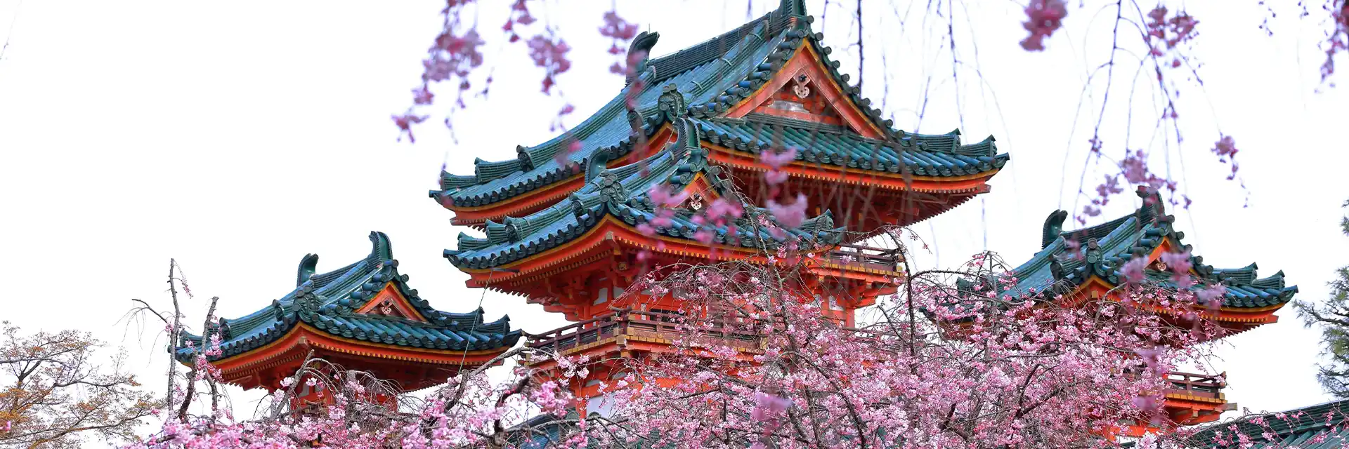Day 7 Seasonal Gardens of Japan