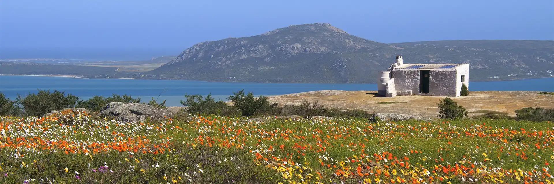 Day 5 Postberg Nature Reserve